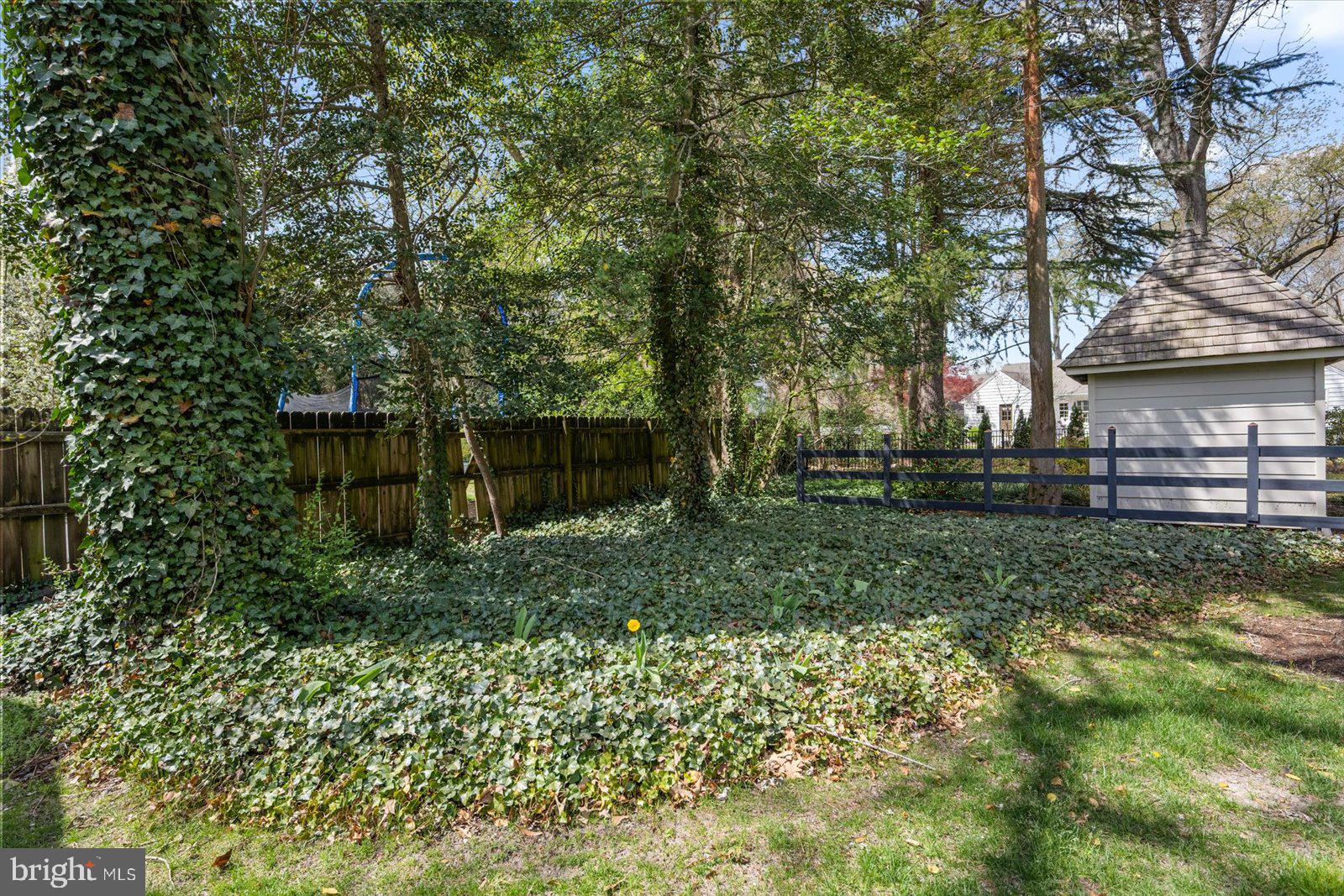 TONY TANK - Residential