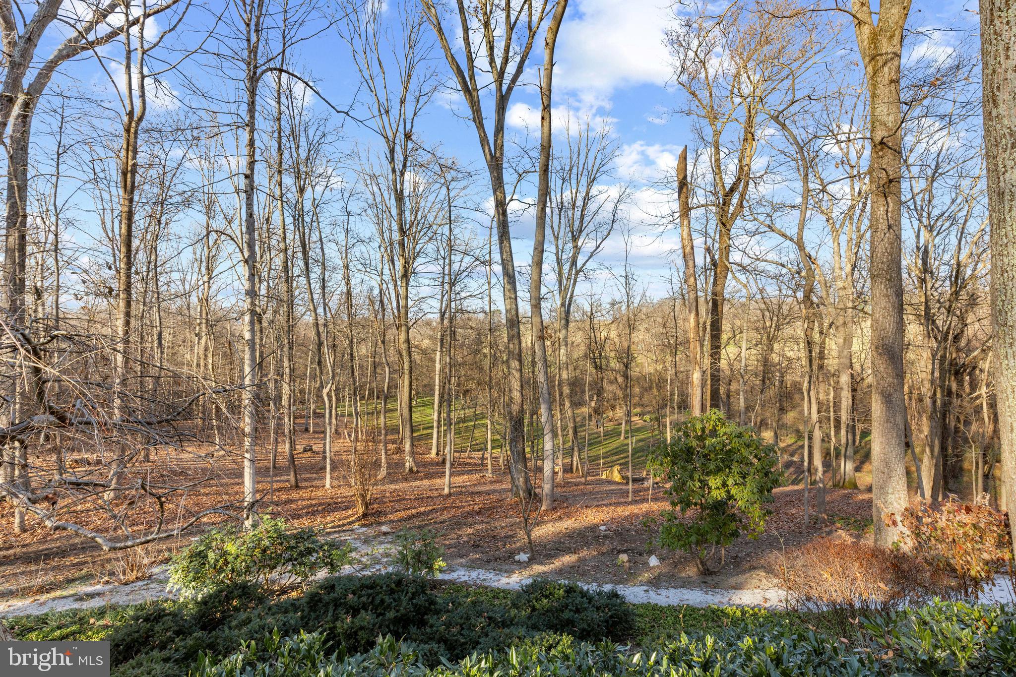 WHITEHALL - Residential