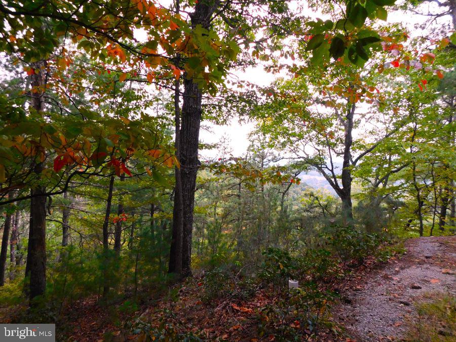 BUCK RIDGES (FORMERLY TREASURE MOUNTAINS) - Residential