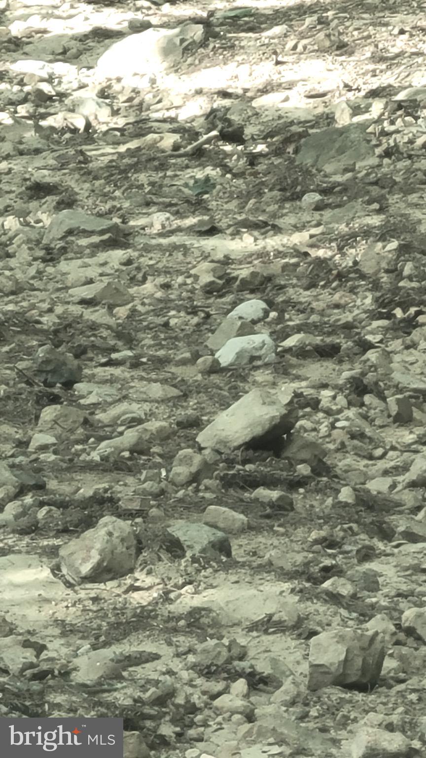 BUCK RIDGES (FORMERLY TREASURE MOUNTAINS) - Residential