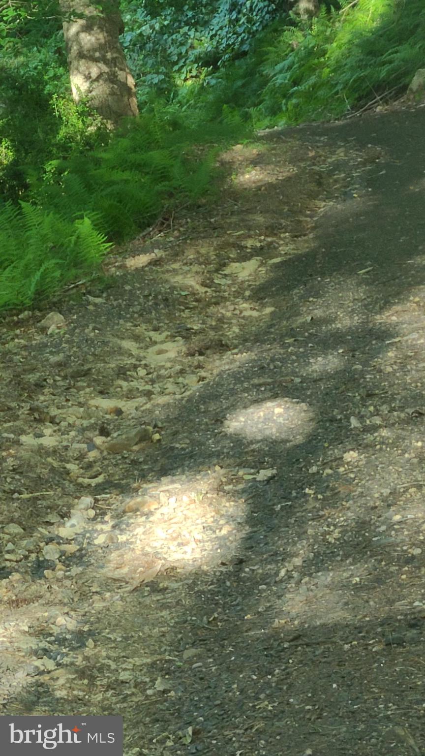 BUCK RIDGES (FORMERLY TREASURE MOUNTAINS) - Residential