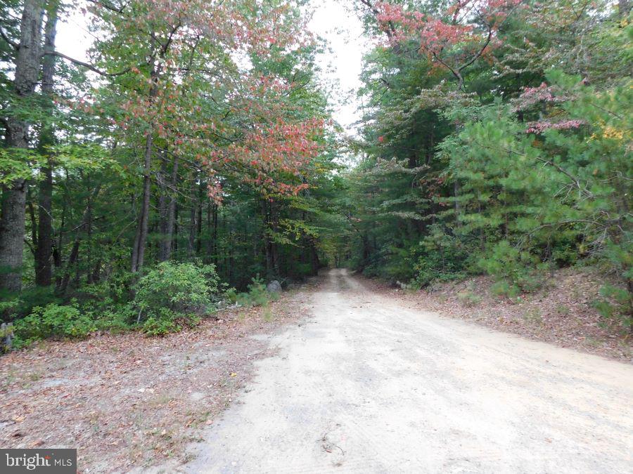 BUCK RIDGES (FORMERLY TREASURE MOUNTAINS) - Residential