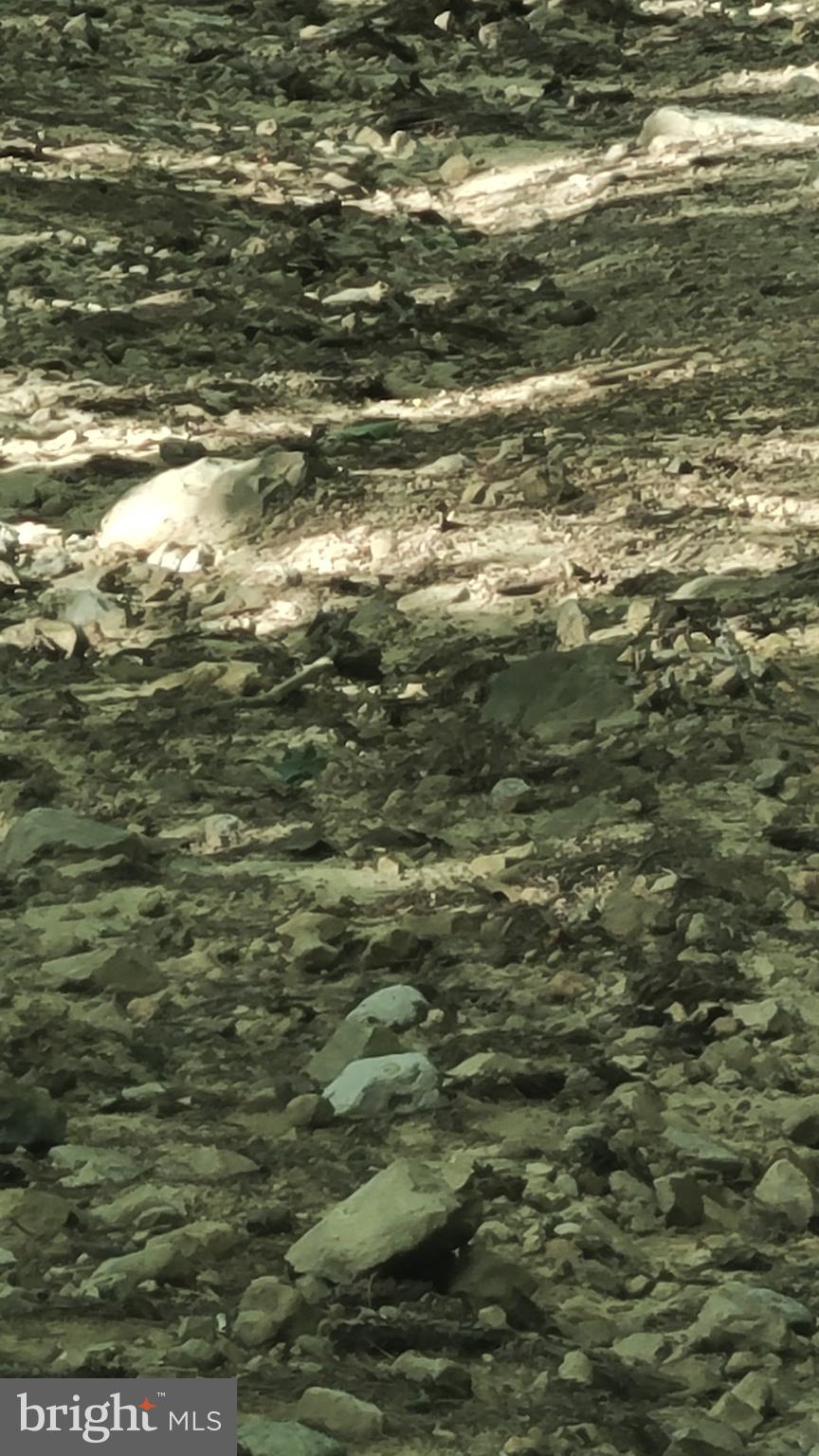 BUCK RIDGES (FORMERLY TREASURE MOUNTAINS) - Residential