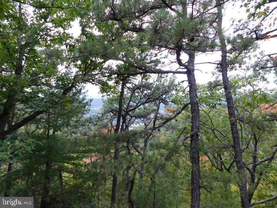 BUCK RIDGES (FORMERLY TREASURE MOUNTAINS) - Residential