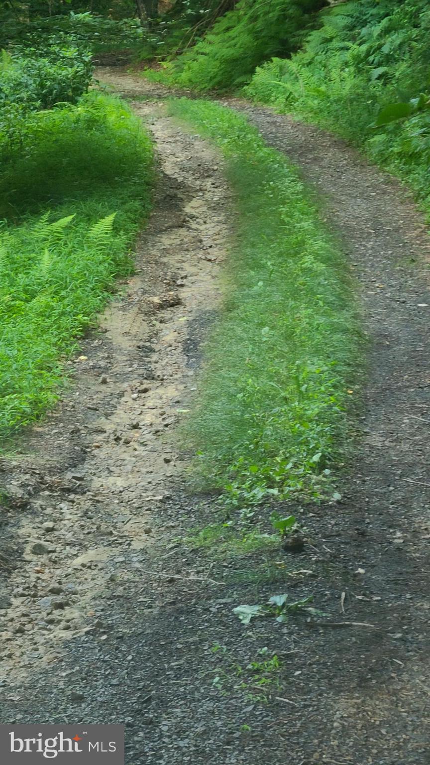 BUCK RIDGES (FORMERLY TREASURE MOUNTAINS) - Residential