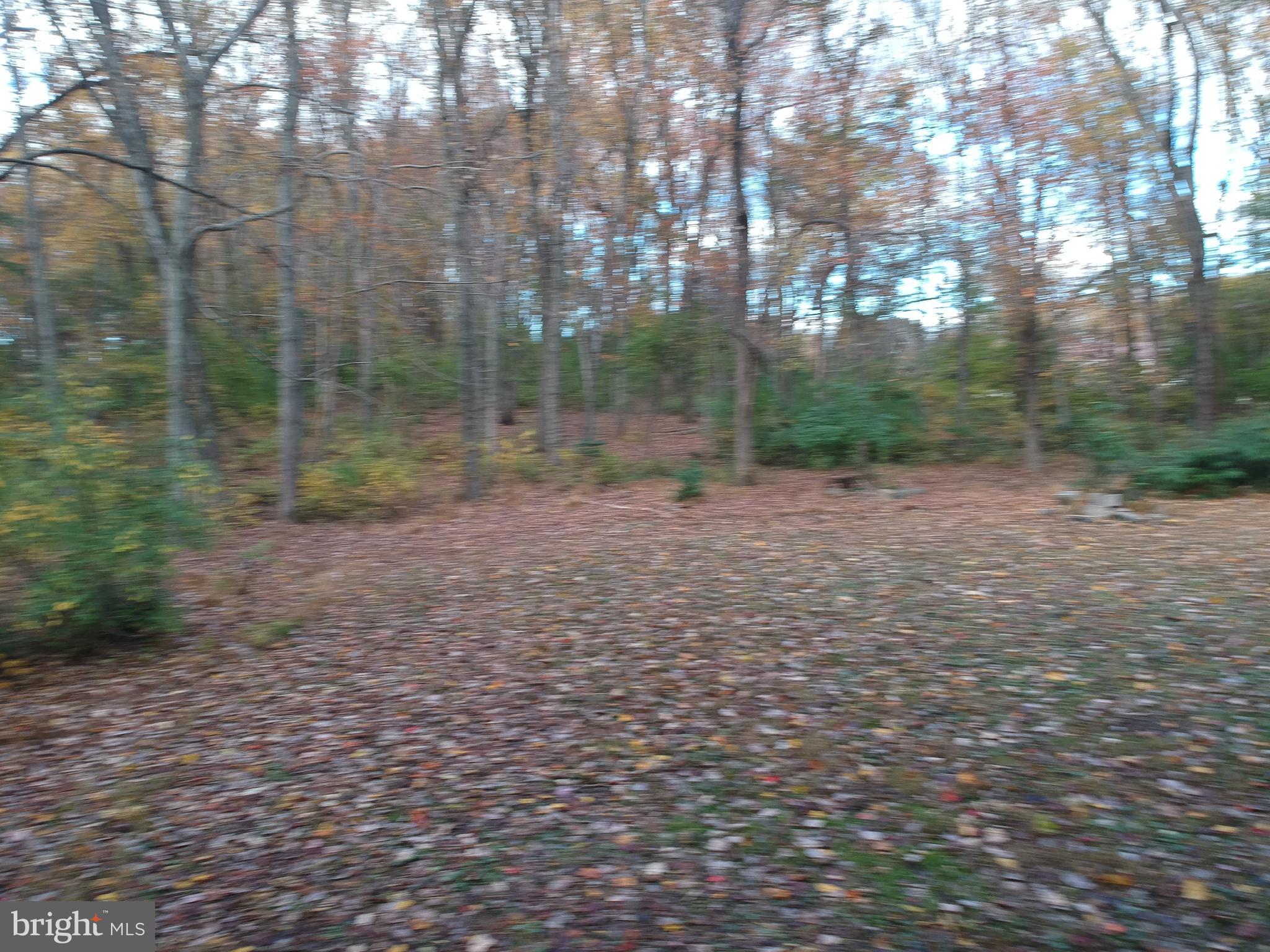 675 BRINTONS BRIDGE ROAD LOT 2