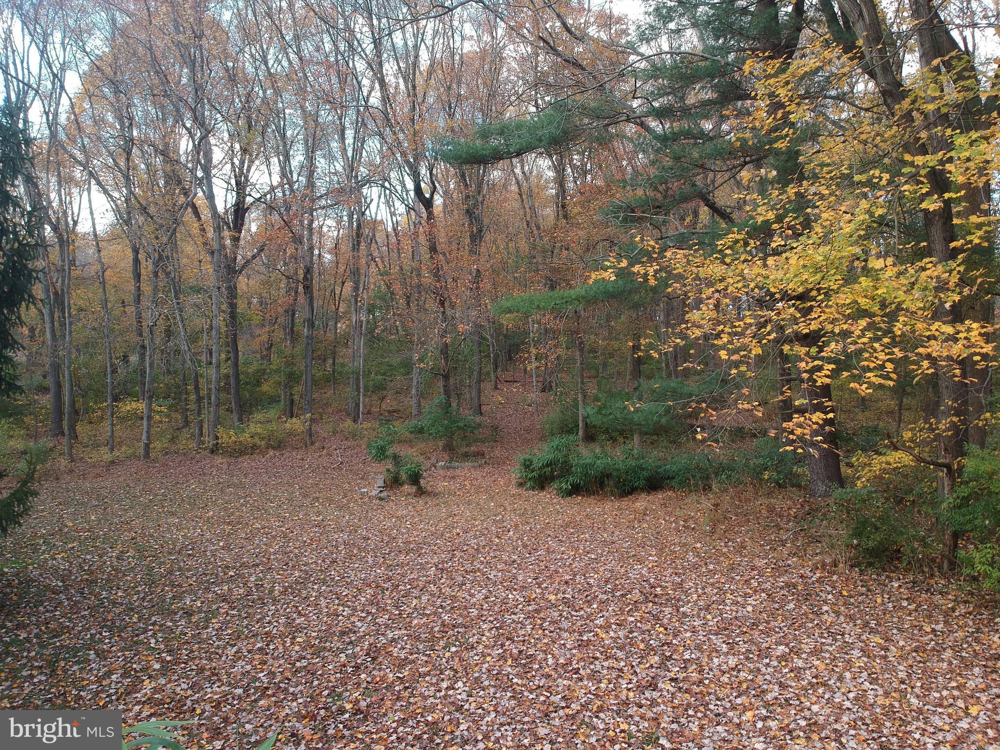 675 BRINTONS BRIDGE ROAD LOT 2