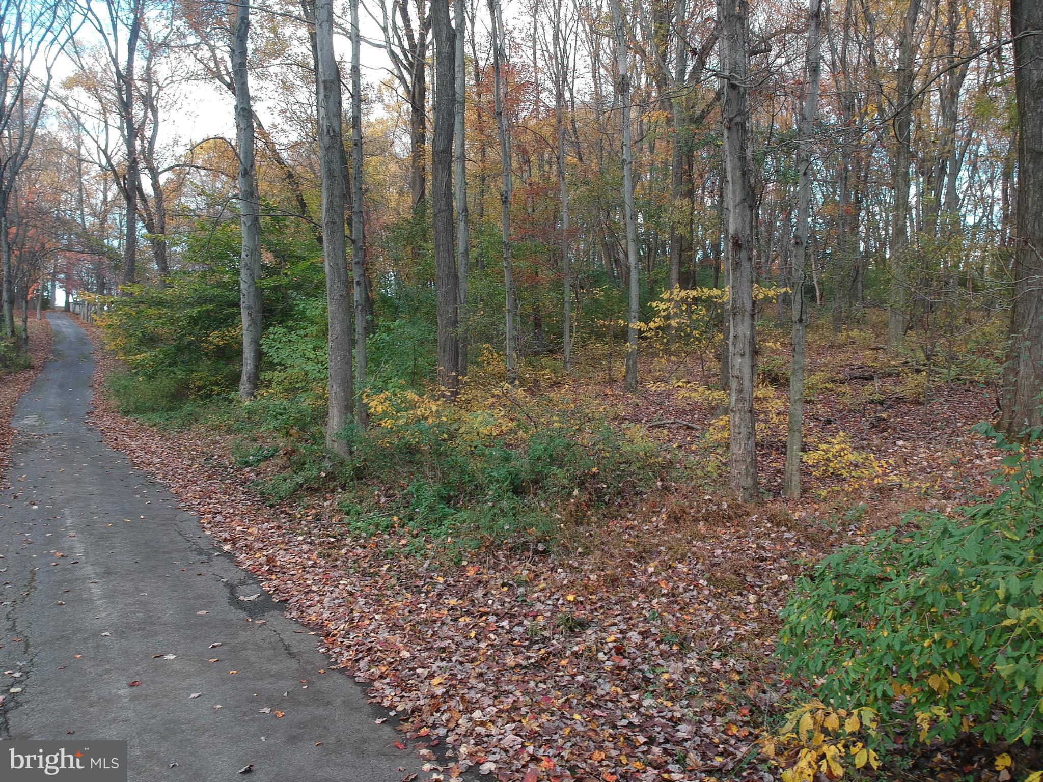 675 BRINTONS BRIDGE ROAD LOT 2