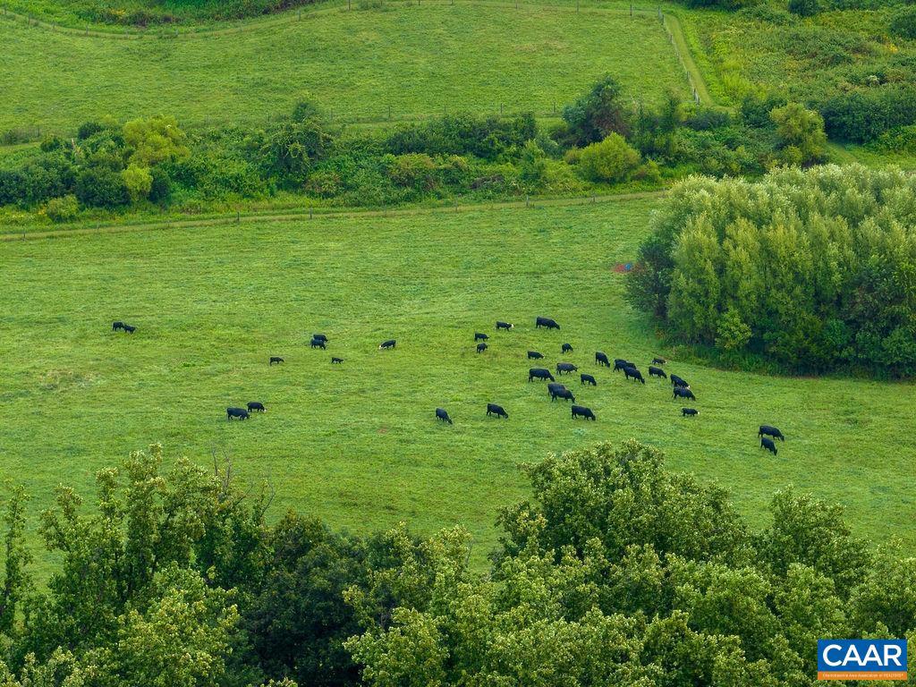 BUNDORAN FARM - Land