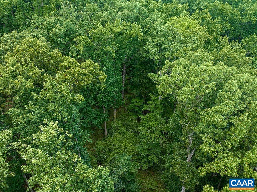 BUNDORAN FARM - Land