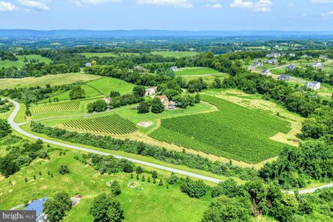 40954 CANTER LANE PAEONIAN SPRINGS VA 20129