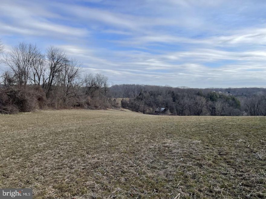 Great opportunity to build the home of your dreams on  40 acres. Zoned R2, in prime country setting. This is  must see!! Build your home and log the land to help pay for it with This amazingly rich parcel of land that is full with history. Call for more information! Owner financing available.