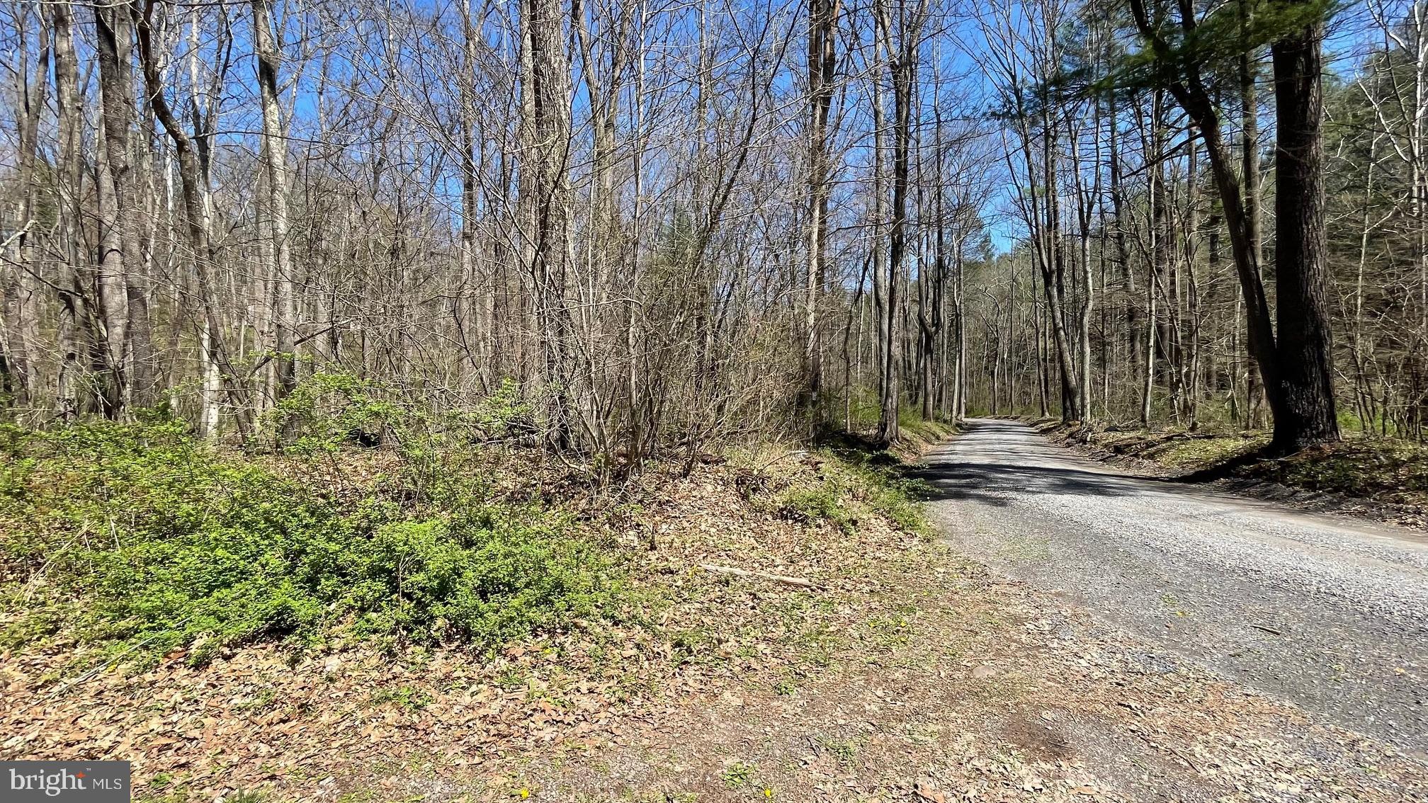 NONE AVAILABLE - Land