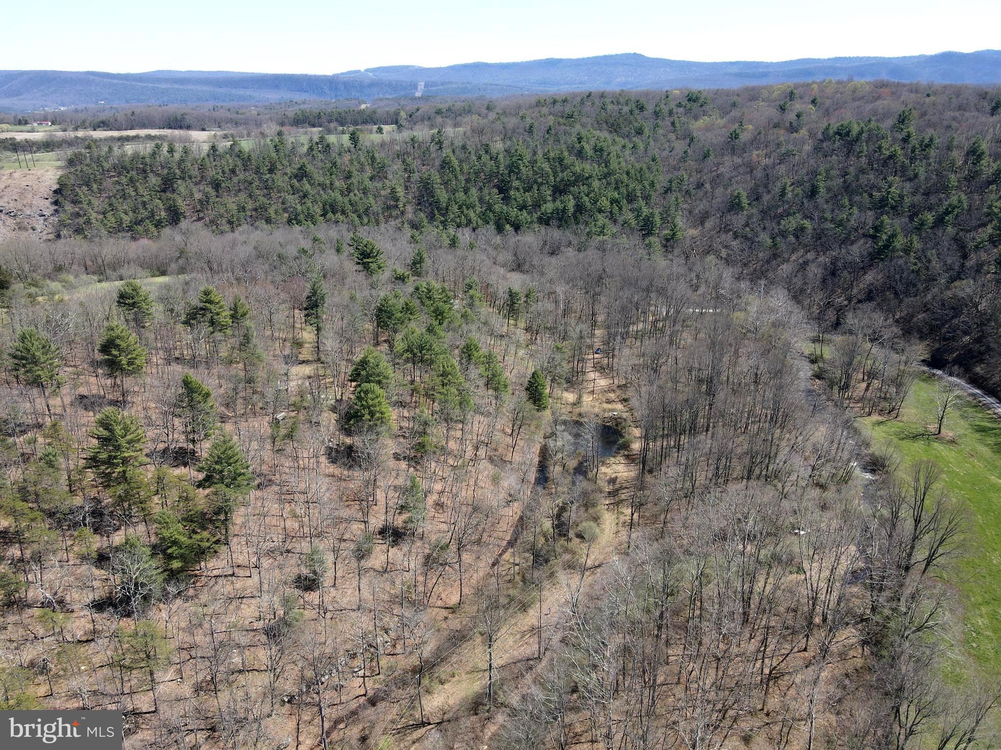 NONE AVAILABLE - Land