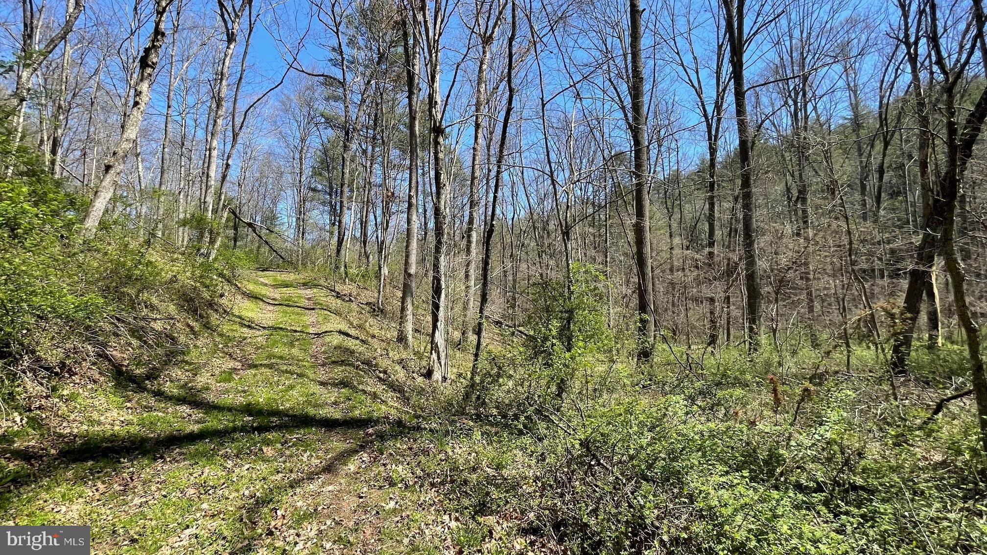 NONE AVAILABLE - Land