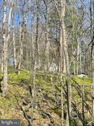 NONE AVAILABLE - Land