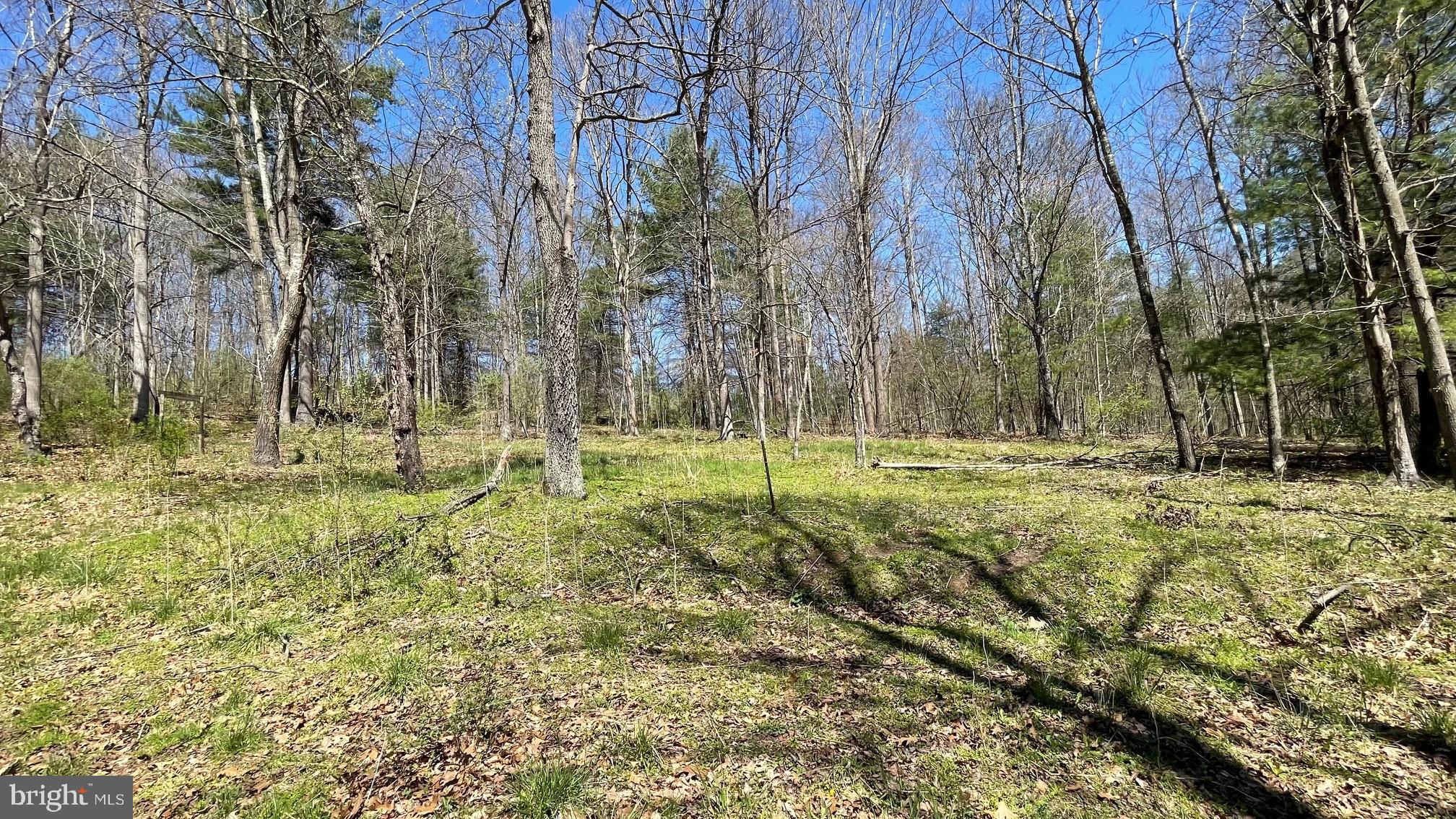 NONE AVAILABLE - Land