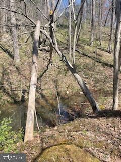 NONE AVAILABLE - Land