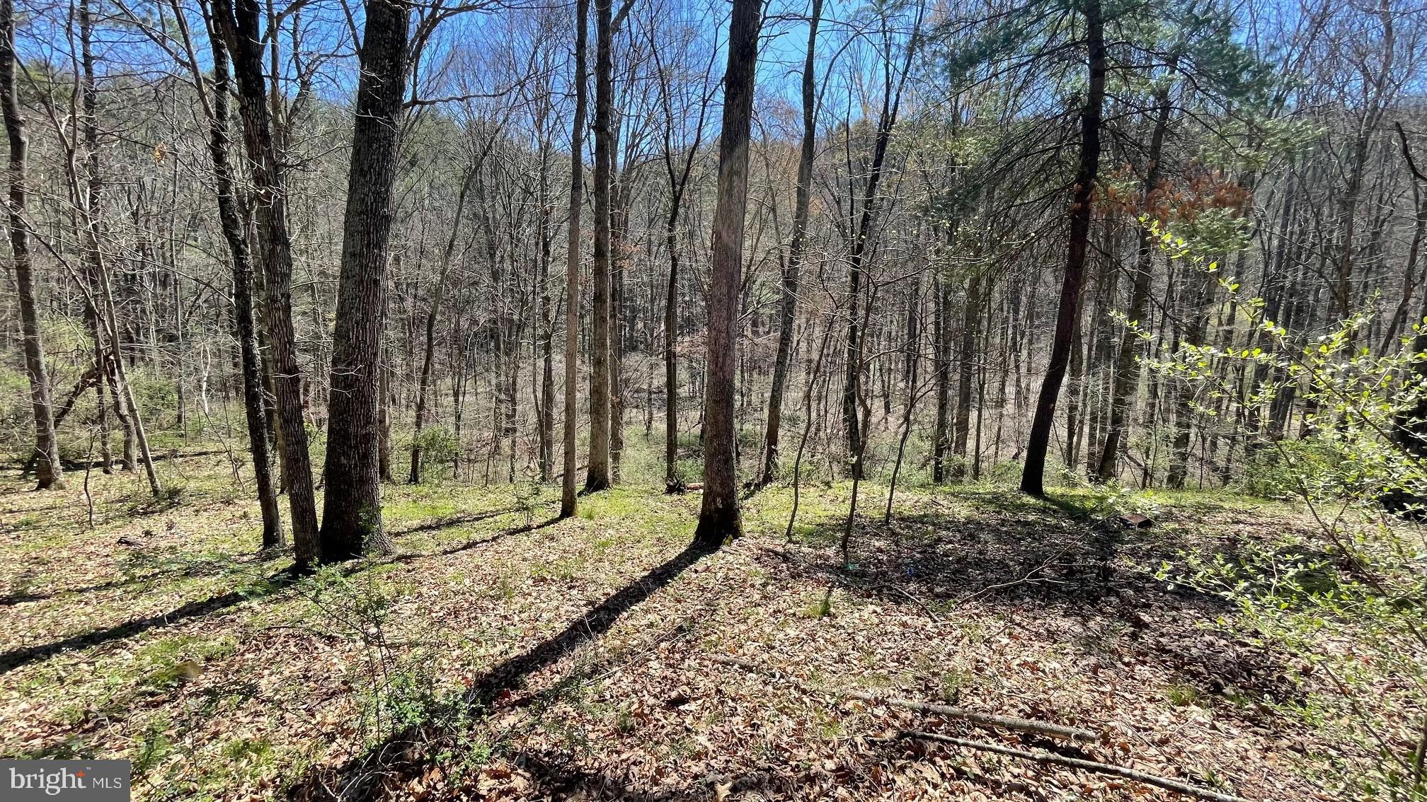 RARE OPPORTUNITY! 20 UNRESTRICTED acres for you to enjoy in the mountains of Hampshire County. It's hard to find that perfect piece of land, yet here it is! This property offers privacy, has a creek running through it, a pond, lots of animals roaming and is gently rolling and level throughout. There is also electricity available to the property. This is a beautiful place to build that dream home or get-away, and it also offers many recreational opportunities that you can enjoy all in your very own backyard. Want to go for a hike? Just walk out your door. Feel like a fun ride on your four-wheeler, take off on your ATV and ride the existing trails. No matter how you choose to enjoy the fresh outdoor air, you will never get tired of the endless beautiful scenery of mature trees and outlying rocks. Love a good photo op? Grab your camera and just walk outside for amazing photos! Need a moment to undwind or meditate? Sit alongside the Tearcoat Creek and let the sounds of the water rolling through destress you. Love watching animals scurry about and play? Take a seat and just watch them roam. Love to stargaze? On any clear night, just look up! Hunters will enjoy the abundant wildlife and there are even ducks that visit the pond on the property! Augusta, WV is about 45 minutes from Winchester, VA / I-81 and about an hour from Cumberland, MD / I-68.