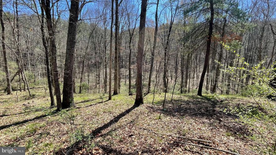 RARE OPPORTUNITY! 20 UNRESTRICTED acres for you to enjoy in the mountains of Hampshire County. It's hard to find that perfect piece of land, yet here it is! This property offers privacy, has a creek running through it, a pond, lots of animals roaming and is gently rolling and level throughout. There is also electricity available to the  property. This is a beautiful place to build that dream home or get-away, and it also offers many recreational opportunities that you can enjoy all in your very own backyard. Want to go for a hike? Just walk out your door. Feel like a fun ride on your four-wheeler, take off on your ATV and ride the existing trails. No matter how you choose to enjoy the fresh outdoor air, you will never get tired of the endless beautiful scenery of mature trees and outlying rocks. Love a good photo op? Grab your camera and just walk outside for amazing photos! Need a moment to undwind or meditate? Sit alongside the Tearcoat Creek and let the sounds of the water rolling through destress you. Love watching animals scurry about and play? Take a seat and just watch them roam. Love to stargaze? On any clear night, just look up! Hunters will enjoy the abundant wildlife and there are even ducks that visit the pond on the property! Augusta, WV is about 45 minutes from Winchester, VA / I-81 and about an hour from Cumberland, MD / I-68.