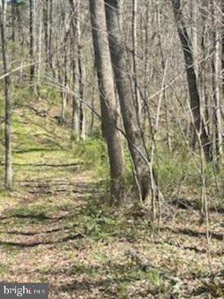 NONE AVAILABLE - Land