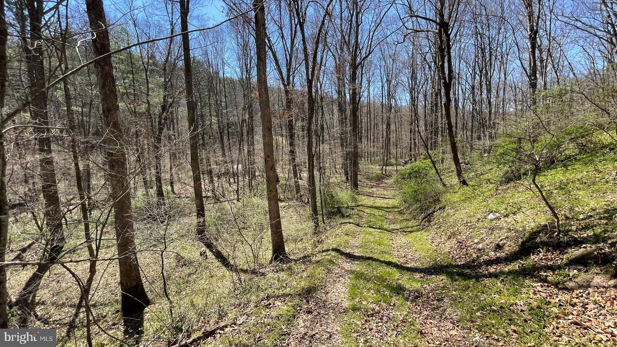 NONE AVAILABLE - Land