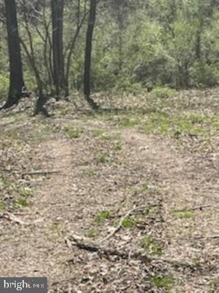 NONE AVAILABLE - Land