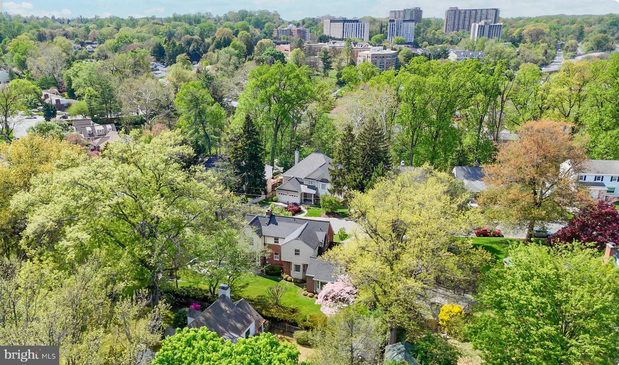 LOCUST HILL ESTATES - Residential