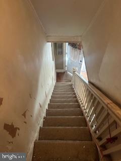 BELAIR-EDISON - Residential