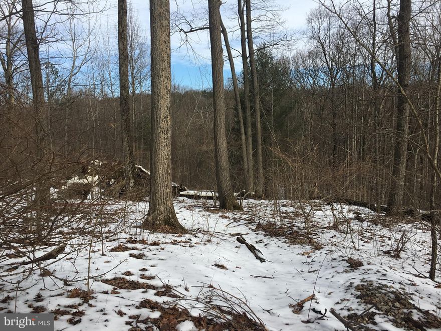 This is a wonderful and beautiful wooded community close to the lake!!  Building lots for single family houses and there is a sewer tap for each lot so public sewer. A well would need to be drilled by buyer.  The house footprint would need to fit within a circle w an 80' diameter. There is some land around that circle that would convey but all other land is community owned. There are some restrictions on what you can build and who you can use to build.  Overall a great place to build a second home!!!