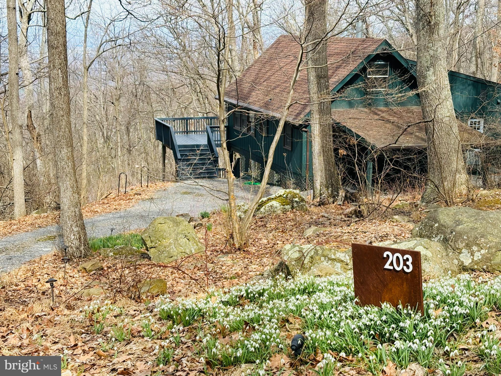 BLUE MOUNTAIN - Residential