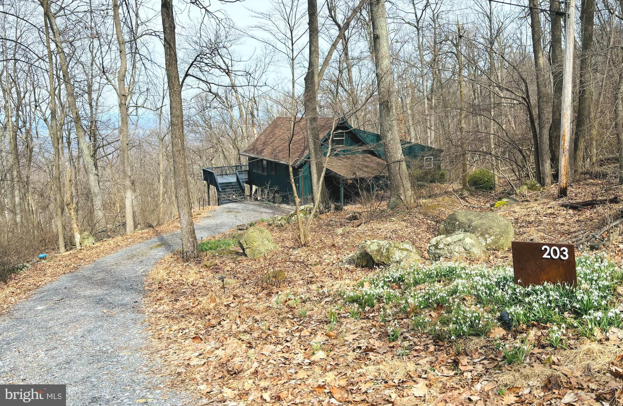 BLUE MOUNTAIN - Residential