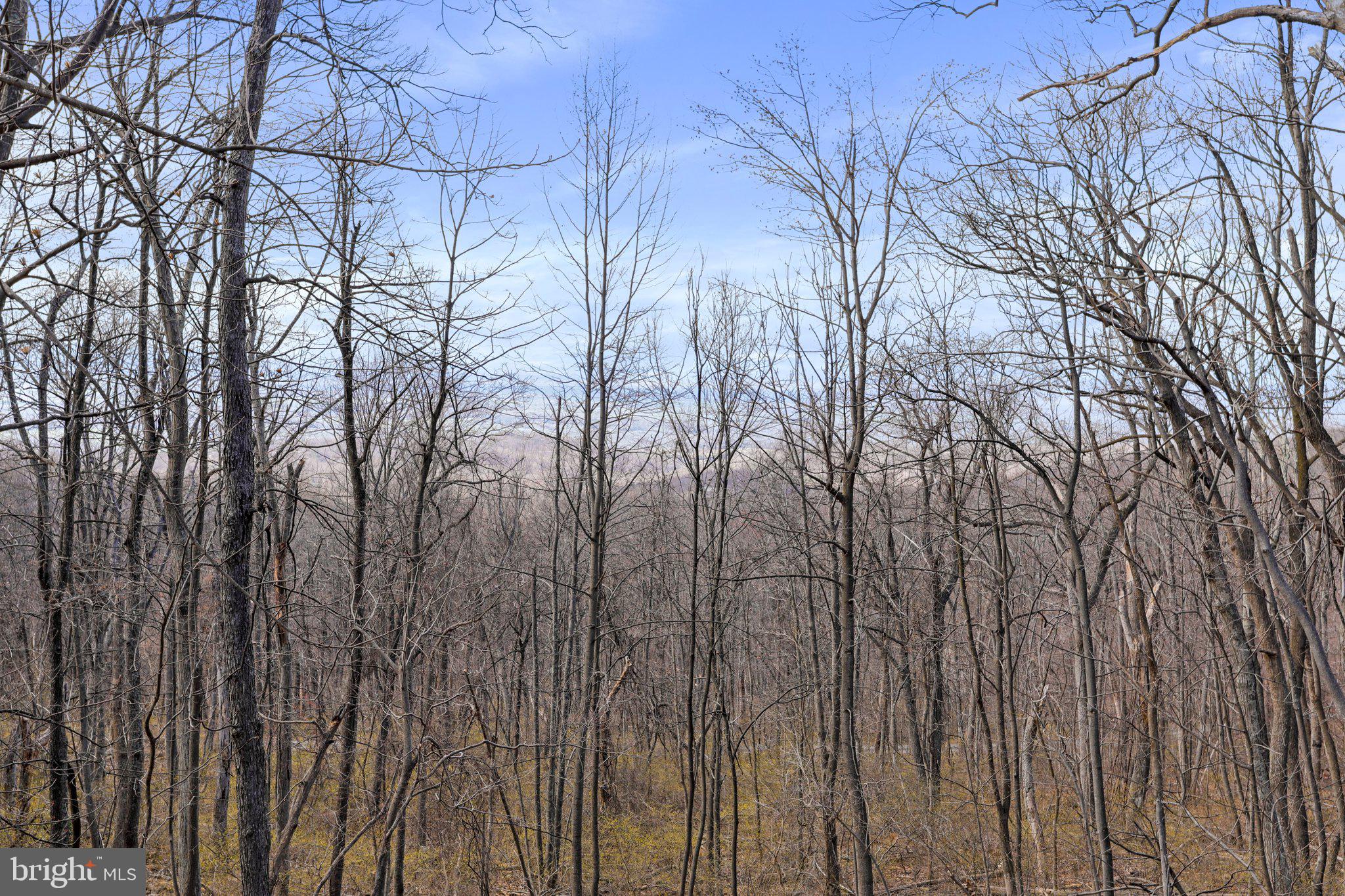 BLUE MOUNTAIN - Residential