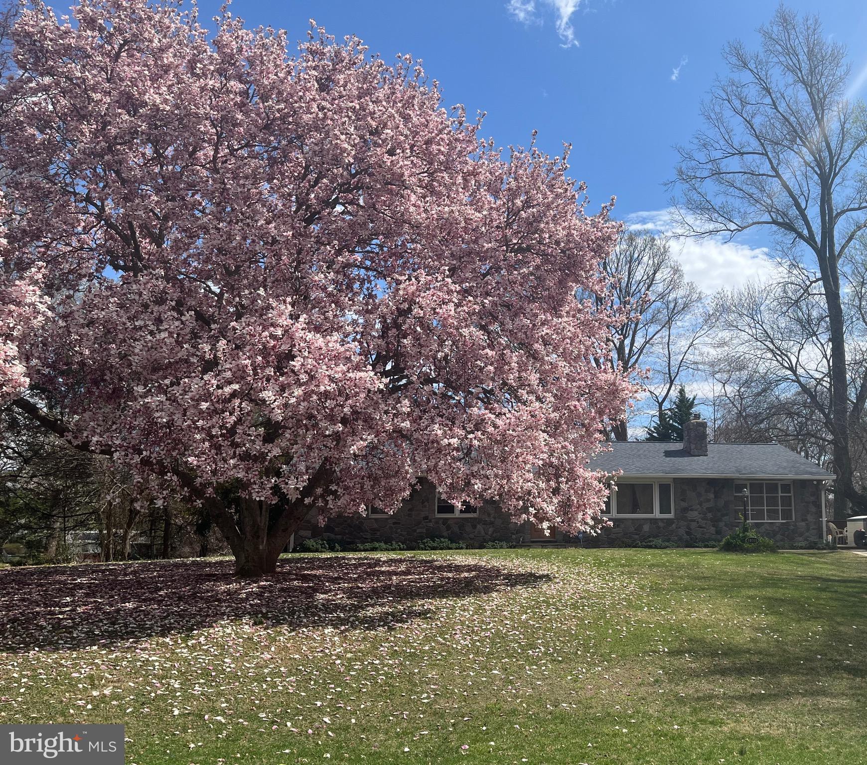 HAMMOND PARK - Residential