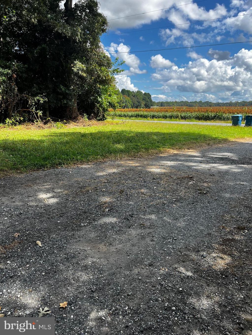 Photo of 11240 Curt Dogg Road, LINCOLN, DE 19960 (MLS # DESU2096036)