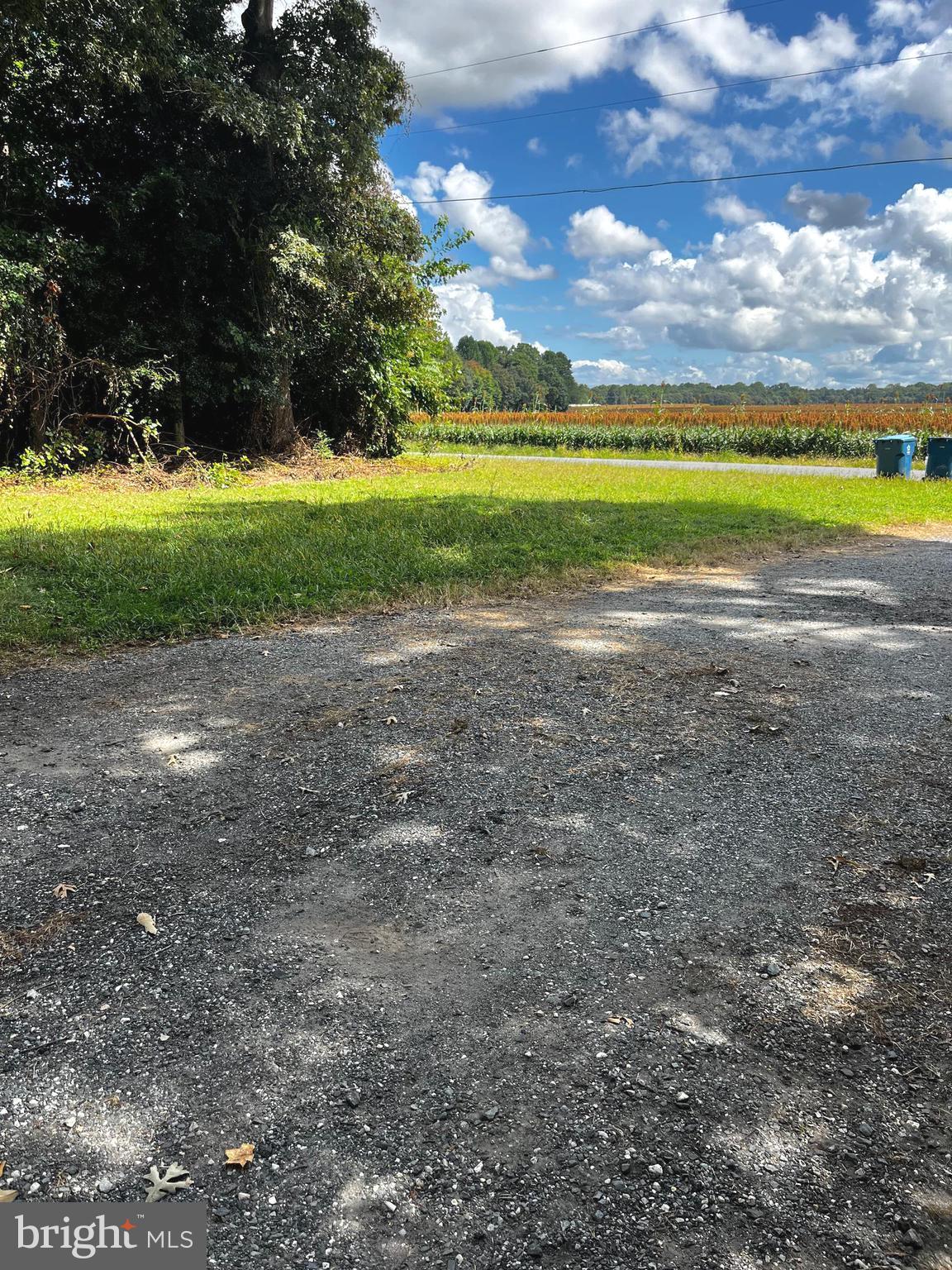 11240 CURT DOGG ROAD