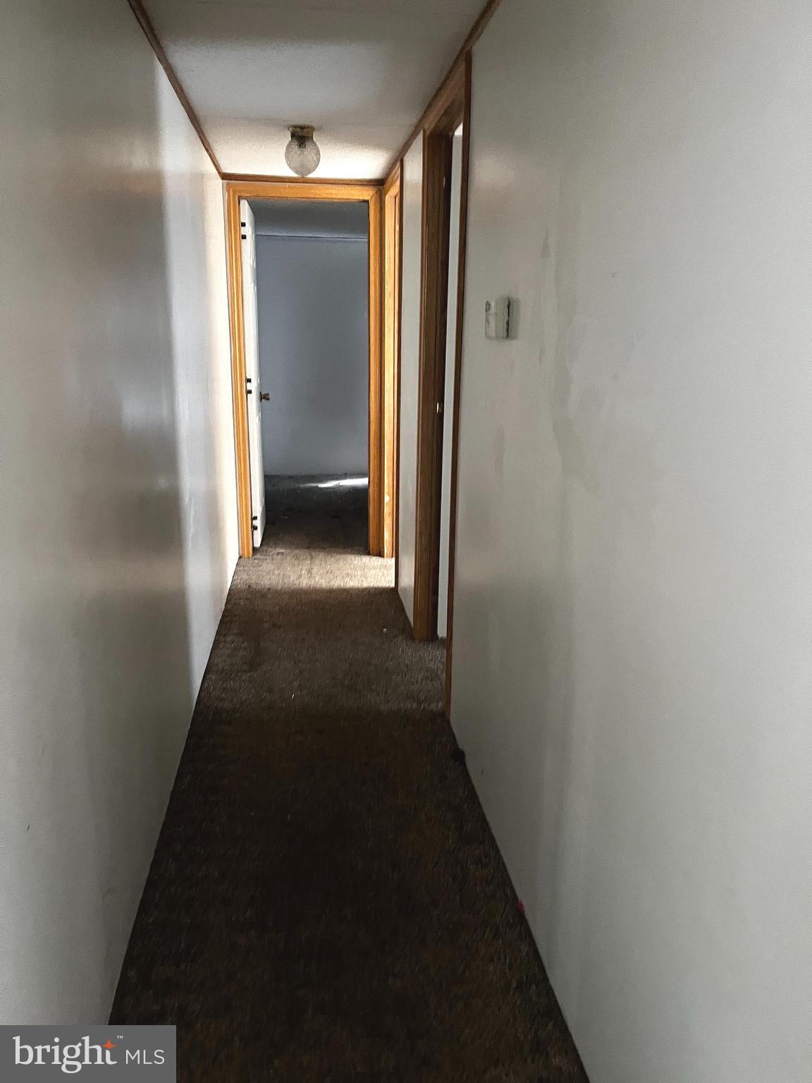 11240 CURT DOGG ROAD