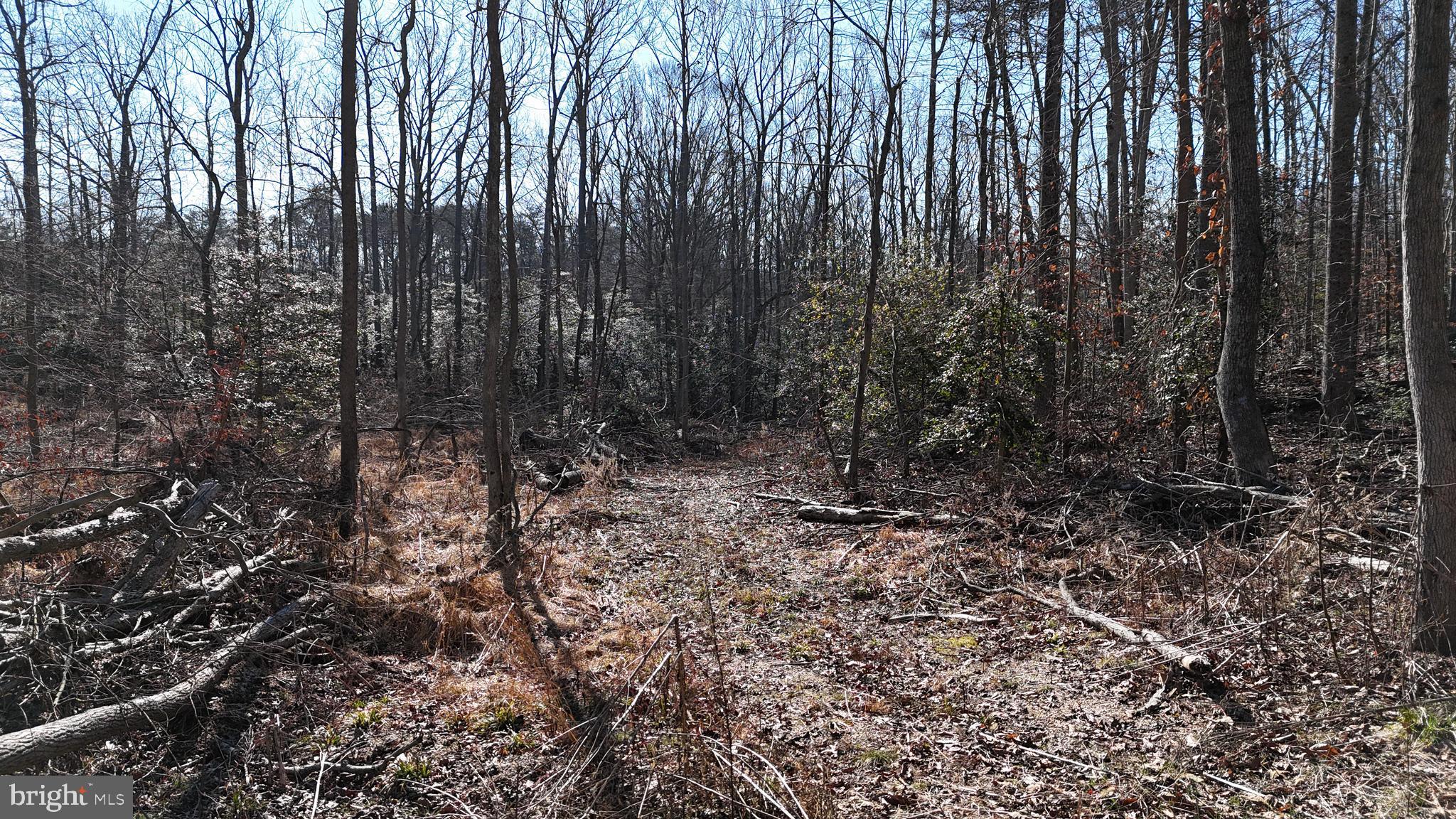 6355 DUSTY TRAIL PLACE