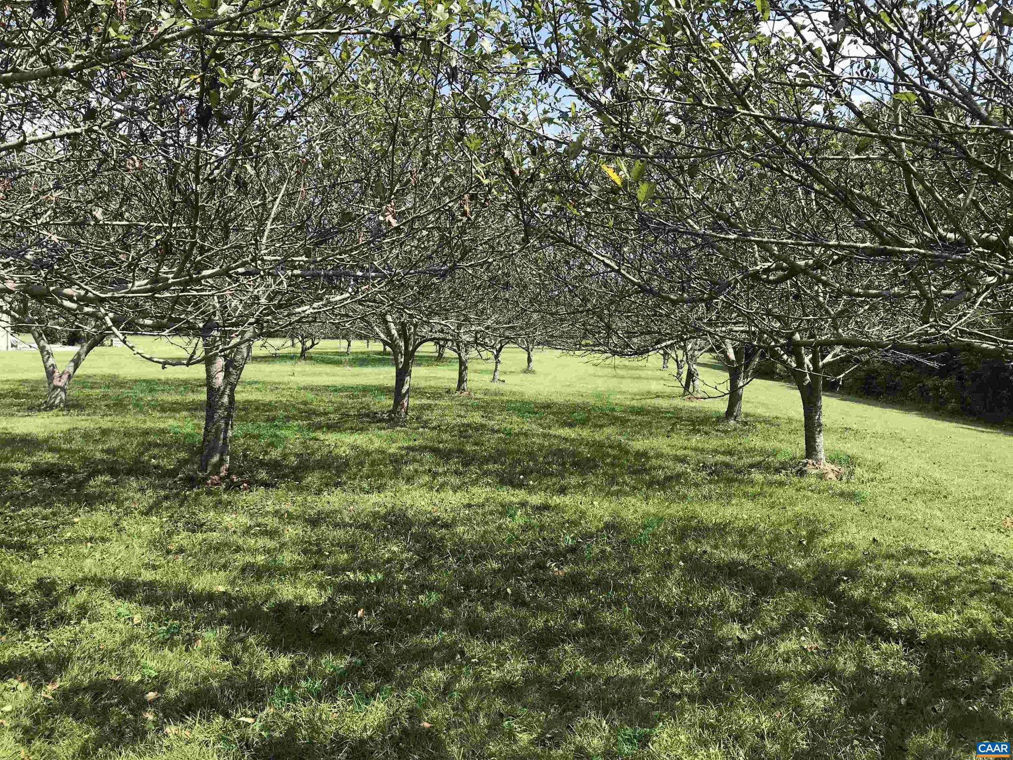 NONE AVAILABLE - Land