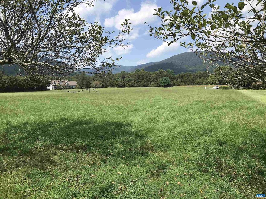 Stunning Mountain views! One of the most desirable lots in Nellysford. Consisting of 4.1 acres of flat open land within The Levels, a small subdivision,this parcel already has a well and electric in place. It has also been perked for a 3-4 bedroom house. Perfect location for your dream home and the site is easily accessed for building. Another plus is the grove of fruit trees at the back of the property! Located in the heart of Nelson County and close to all the breweries, wineries, cideries and well as Wintergreen Resort with golf, tennis, skiing, tubing, swimming and hiking. And they have a world class spa! Just 30 minutes into Charlottesville.