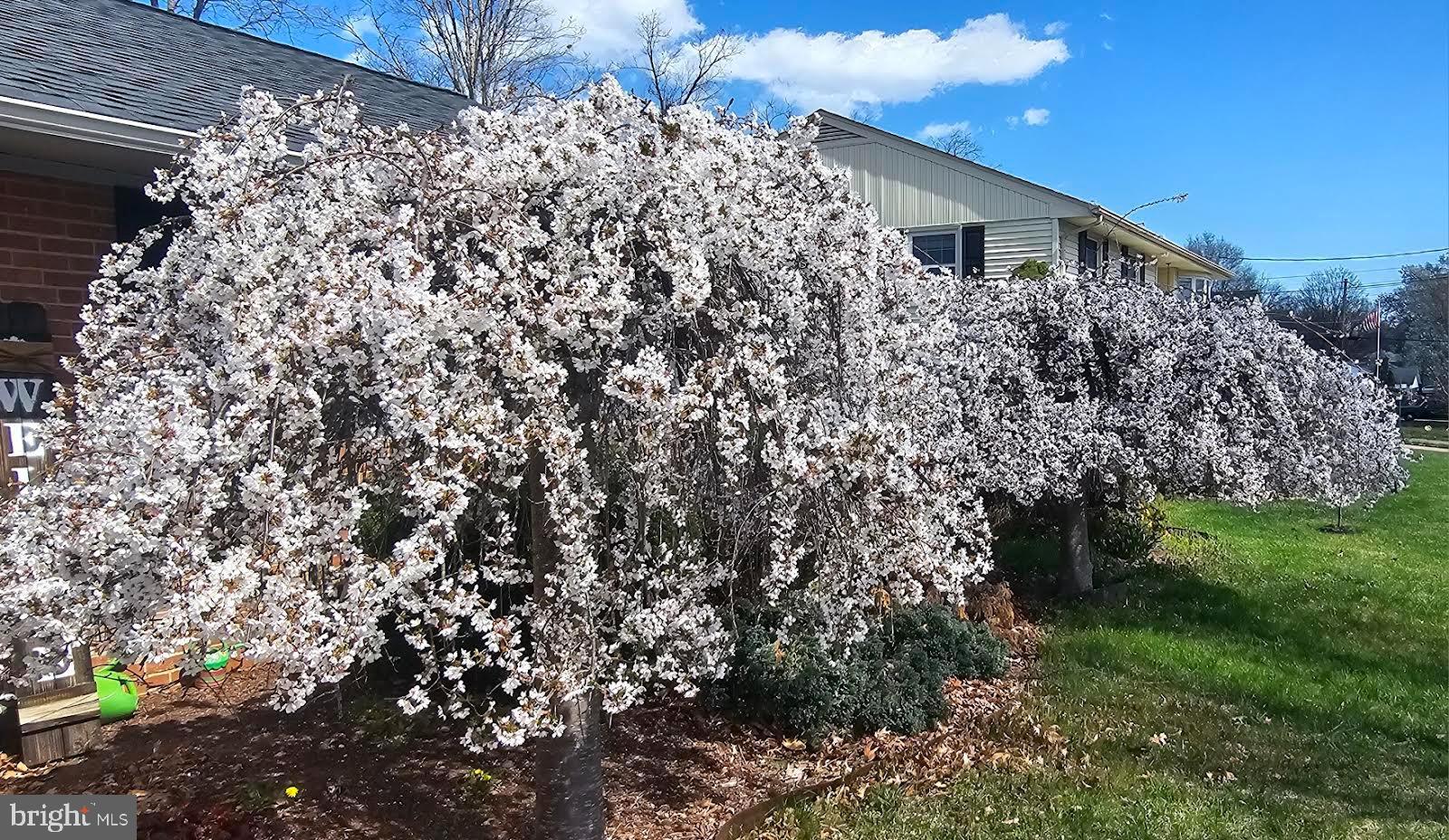 COUNTRY CLUB MANOR - Residential