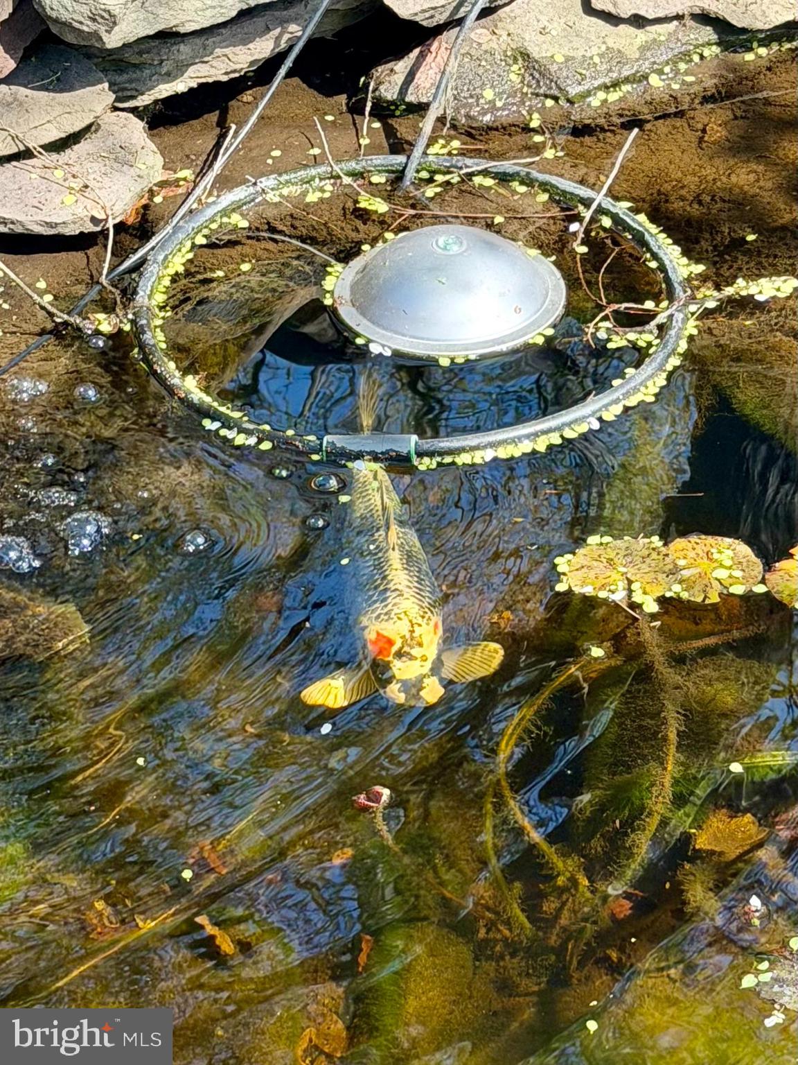 PIMMIT HILLS - Residential