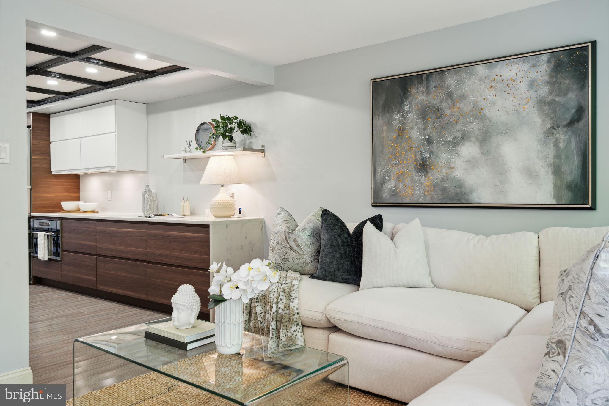 SOCIETY HILL - Residential