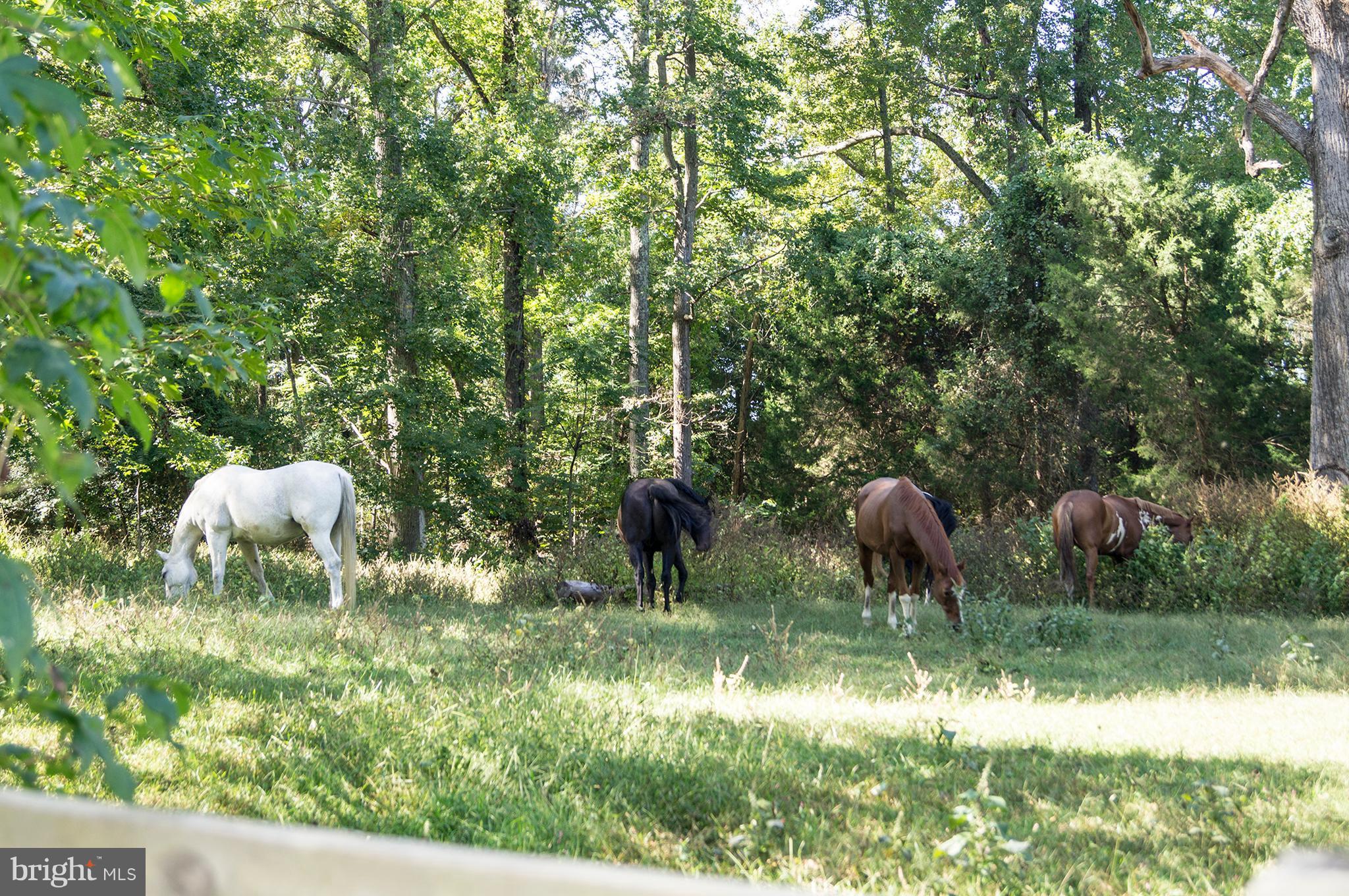 FARMINGTON - Residential