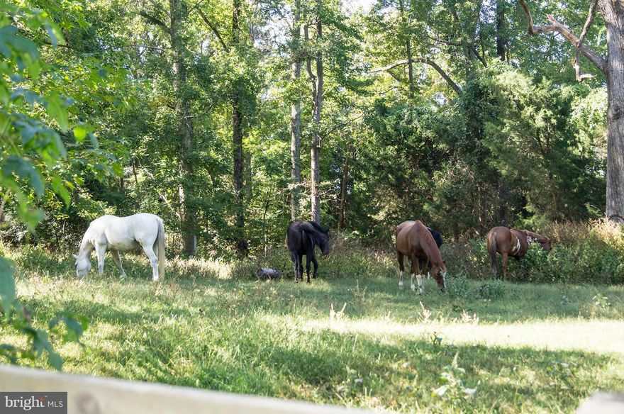 SHANGRI-LA AWAITS! Sensational 3 BD 3 BA Robert L Rotner designed contemporary--sparkling, spacious, private & truly one-of-a-kind. Built on 5 sylvan acres a mere hop & a skip to DC. High ceilings! Extraordinary light!  Designed to entertain & to live well! Scenic easements protect your privacy! Board your horse nearby! 10 min to MGM & Gaylord. 30 to downtown! Tour phyllisjaneyoung to enjoy!