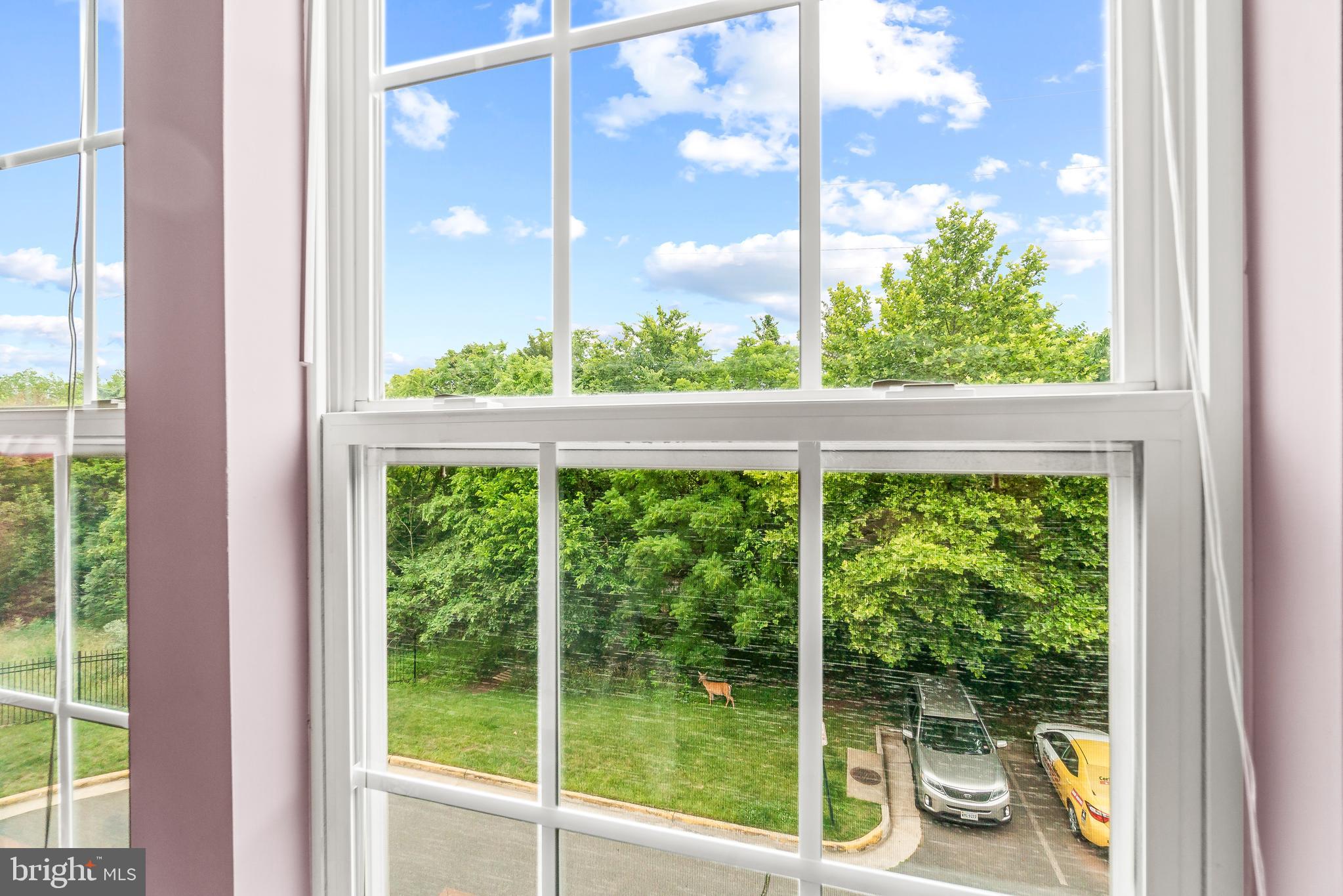 ASHBURN VILLAGE - Residential Lease