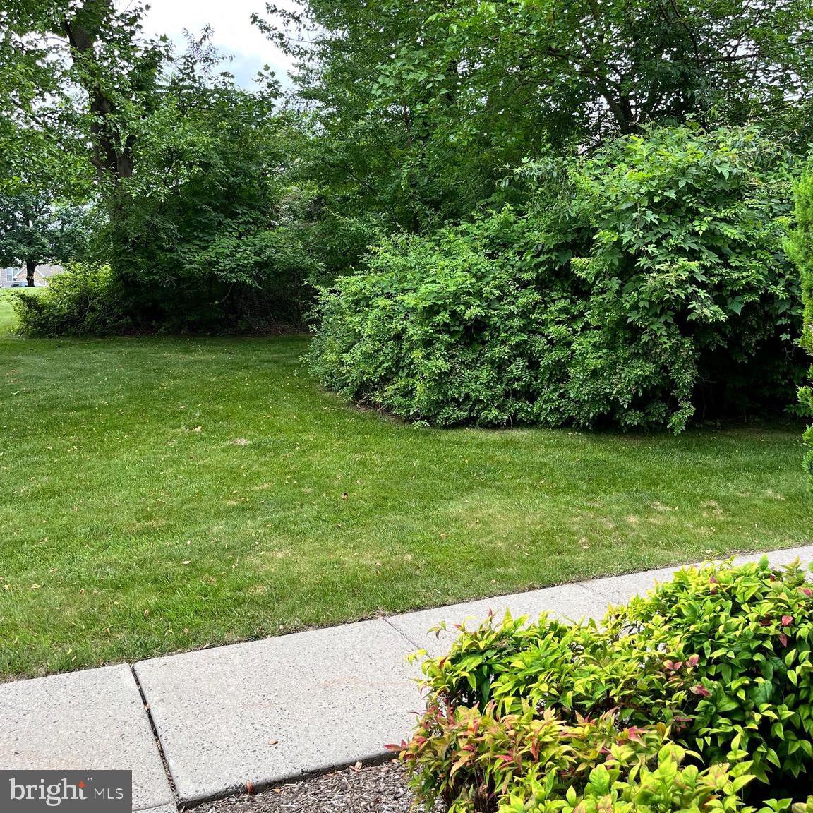 538 EASY STREET T84