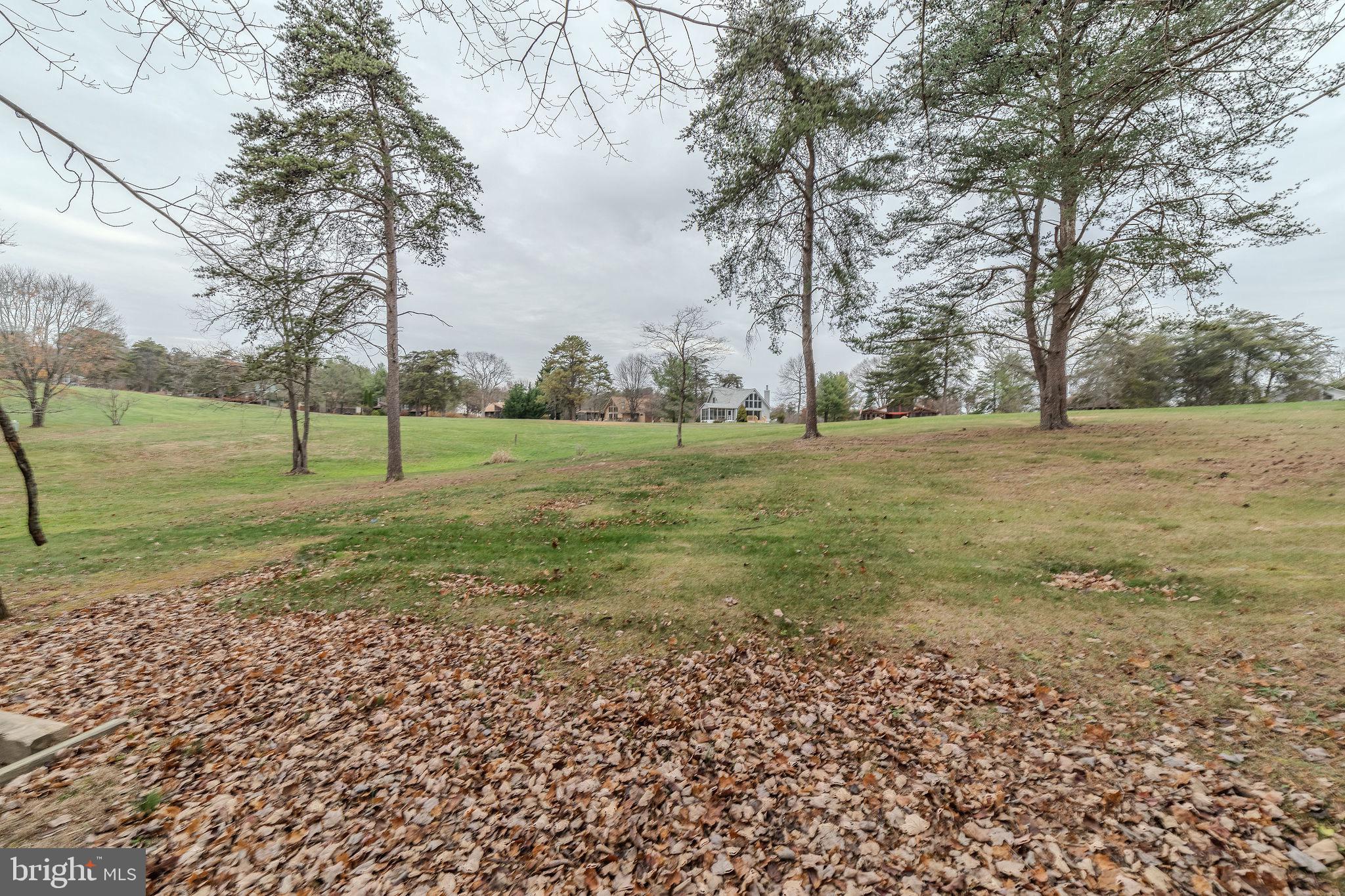 THE WOODS - Residential