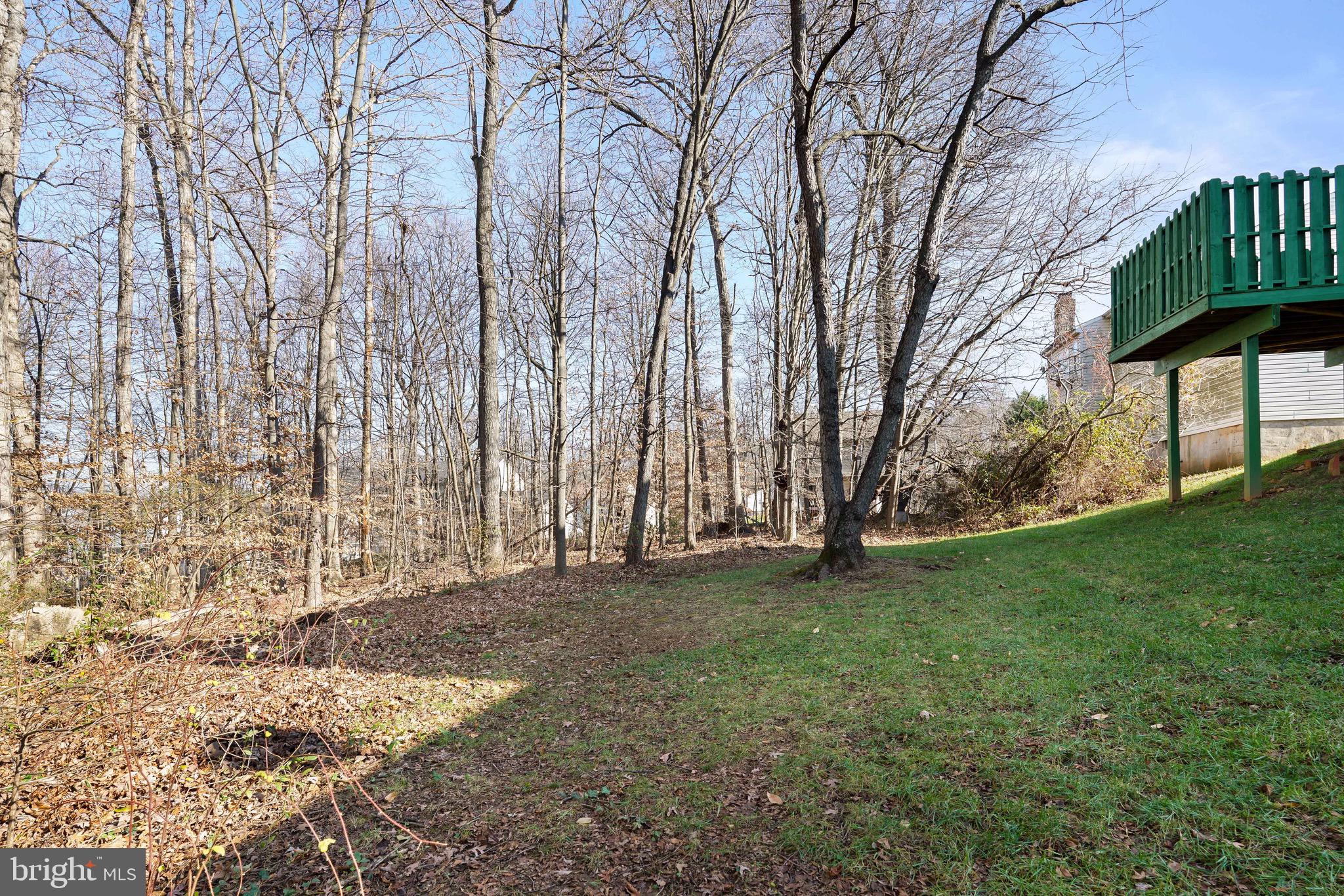 WASHINGTON WOODS - Residential