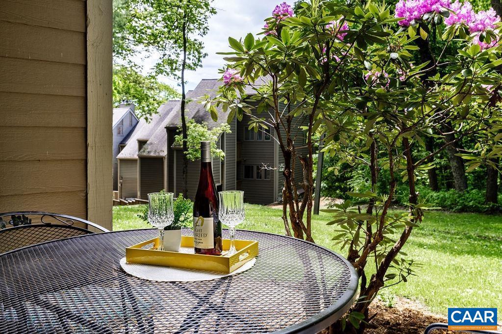 WINTERGREEN RESORT - Residential